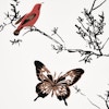 BIRDS & BUTTERFLIES - MULTI ON WHITE