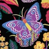 EXOTIC BUTTERFLY - BLACK