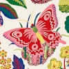 EXOTIC BUTTERFLY - SPRING