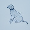 GOOD DOGS EVERYWHERE - SKY & NAVY BLUE