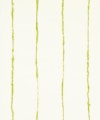 EPHEMERA - CHARTREUSE